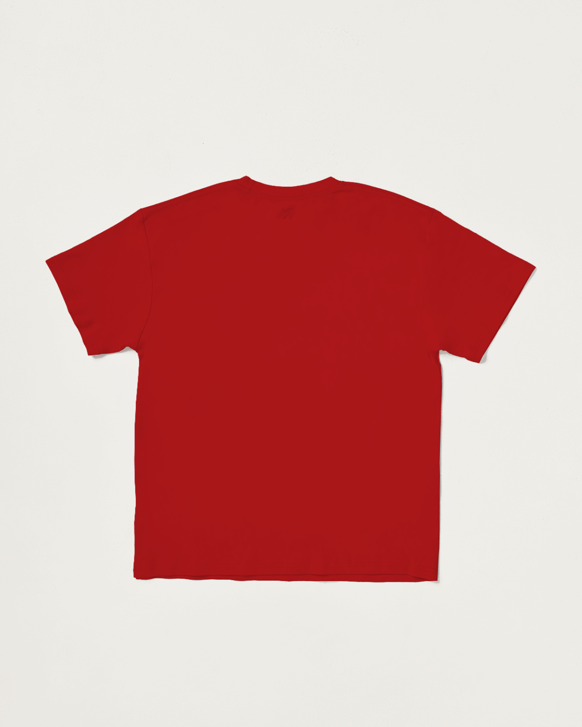 Oversized Tee in Adrenaline